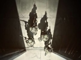 «Калибр»: интервью с Wargaming - изображение 1