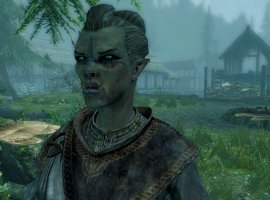 Какие ещё 30 FPS — игроки раскритиковали The Elder Scrolls 5: Skyrim на Nintendo Switch 2 - изображение 1