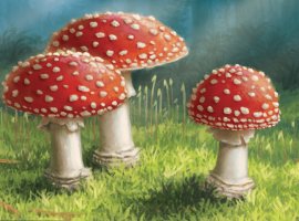 «Грибы и корни» — настольная игра, где ты типа дерево - изображение 1