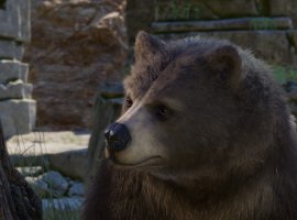 Свежий показ Baldur's Gate 3 поднял игру в топ-10 нового чарта Steam - изображение 1