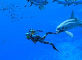 Подводное приключение Endless Ocean Luminous получило трейлер про звуки океана - изображение 1