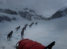 Атмосферную адвенчуру WILL: Follow The Light перенесли на начало 2026 года - изображение 1