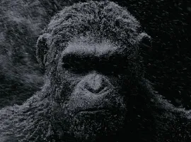 Обзор фильма «Планета обезьян: Война». Основной первобытный инстинкт - изображение 1