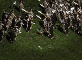 Поклонники Diablo 3 нашли путь на секретный уровень - изображение 1