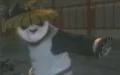 Kung Fu Panda («Кунг-фу Панда») - изображение 1