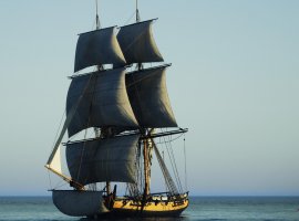 Пиратская Ahoy собрала свыше 750 тыс долларов — Kickstarter-кампания стала очень успешной - изображение 1