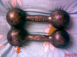 Герои штанги и гантели - изображение 1