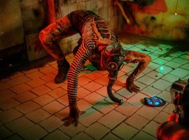 Косплей недели:  S.T.A.L.K.E.R., Dota 2, Overwatch, «Как приручить дракона», The Witcher - изображение 1