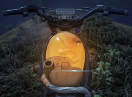 В Days Gone появился бензобак с ребёнком из Death Stranding — и это не шутка! - изображение 1