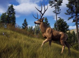 Авторы Way of the Hunter показали игровой процесс охотничьего приключения - изображение 1