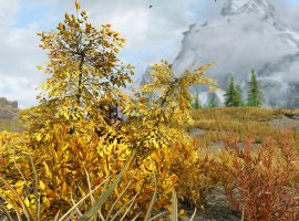 Для Skyrim вышел мод, который наконец позволяет реально прятаться в кустах - изображение 1