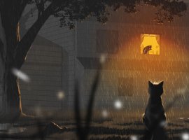 История бездомного кота Copycat получает очень положительные отзывы - изображение 1