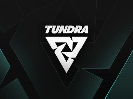 Tundra прошла в плей-офф PGL Wallachia 7 по Dota 2 - изображение 1