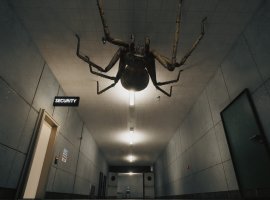 Alien: Isolation с пауками: хоррор Huntsman про ужас всех арахнофобов выходит в ноябре - изображение 1