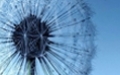 Будущее Android. Тестирование телефона Samsung Galaxy S3 - изображение 1