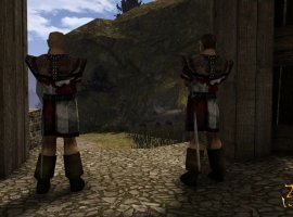 Авторы мода «Золотые ворота» к Gothic 2 отметили его десятилетие - изображение 1