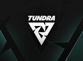 Керри Tundra по Dota 2 пропустил PGL Wallachia 7 из-за опоздания на самолет - изображение 1