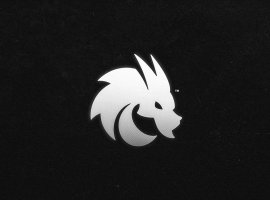Аналитик Kassad по Counter-Strike 2 считает, что Team Spirit держится лишь на donk - изображение 1