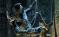 Thief 4 - изображение 1