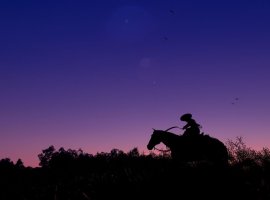 В первый крупный патч Assassin's Creed Shadows войдут улучшения лошади и торговцев - изображение 1