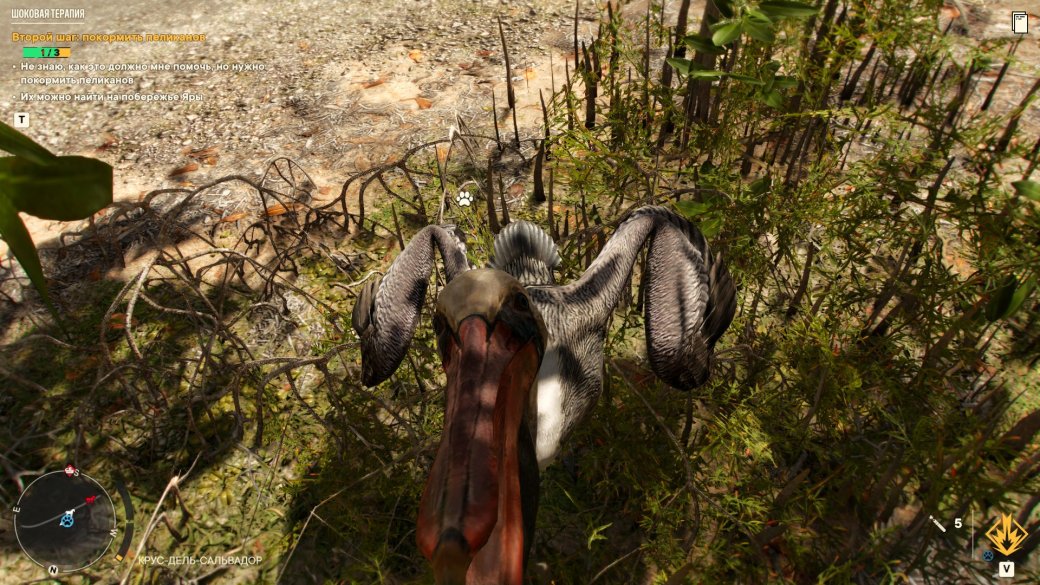 Галерея Гайд: Как покормить пеликанов в Far Cry 6 - 2 фото