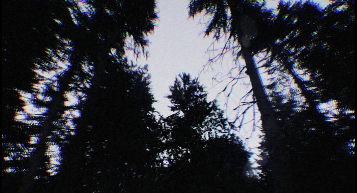 Скриншот Don't Scream
