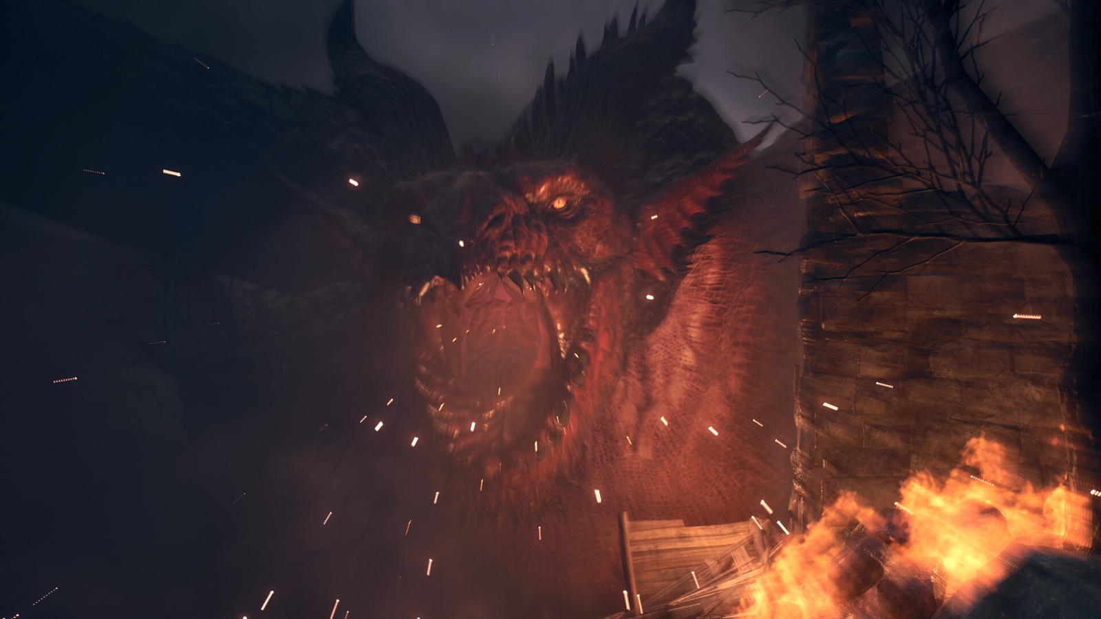 Обложка: Dragon's Dogma 2