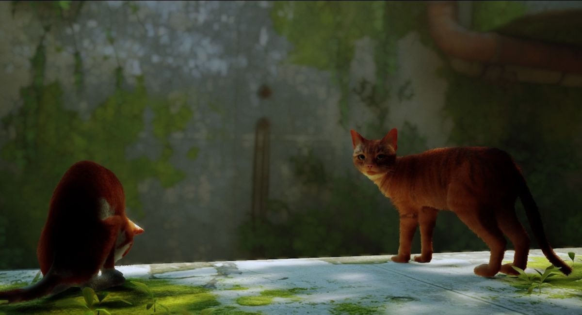 Скриншот Stray