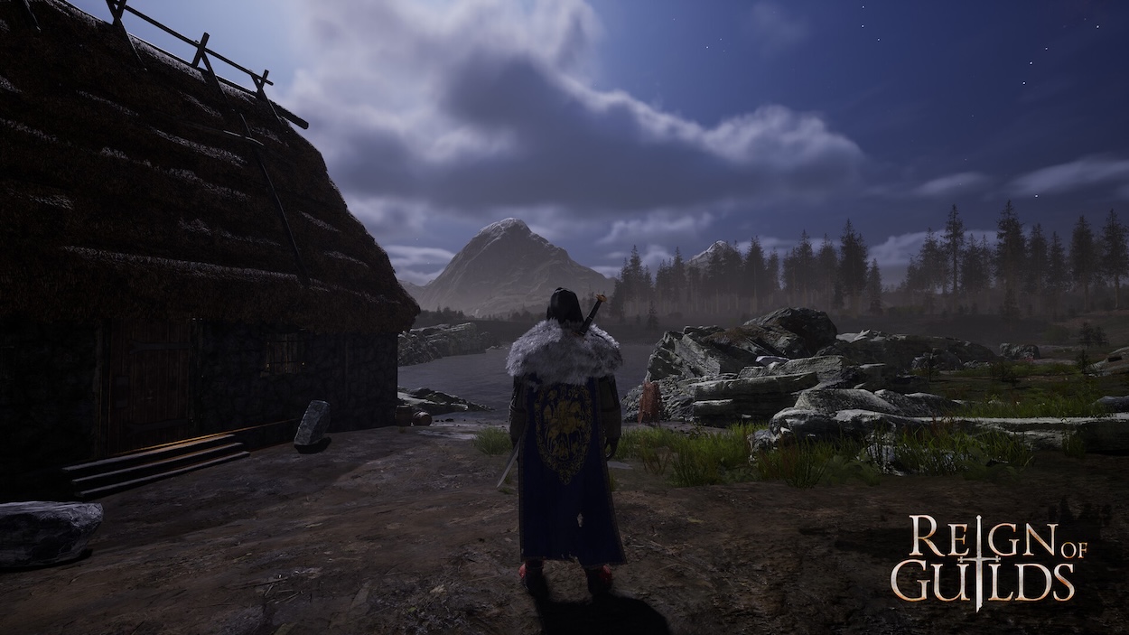 Обложка: Reign of Guilds