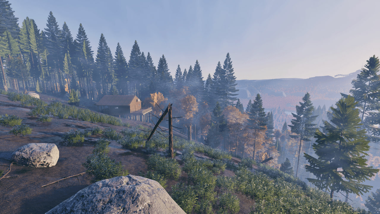 Обложка: скриншот Prologue: Go Wayback!