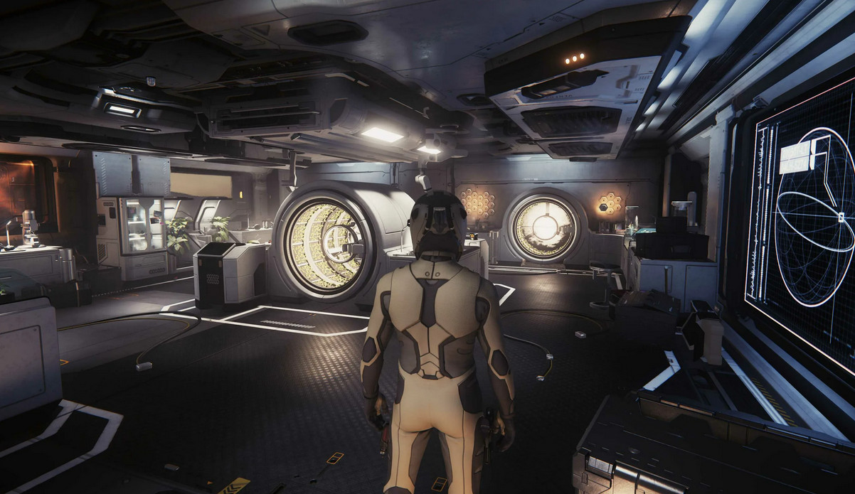 Обложка: скриншот Star Citizen