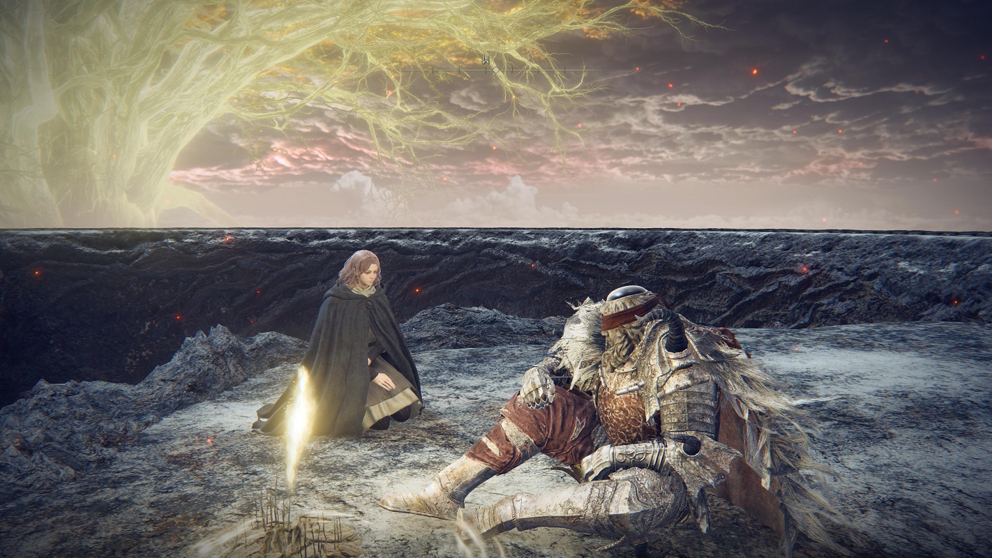 Обложка: скриншот игры Elden Ring
