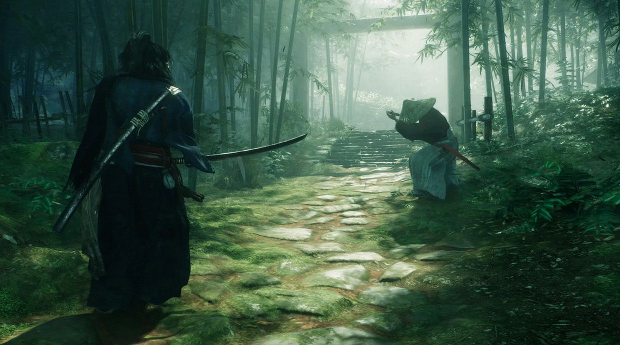 Обложка: скриншот Rise of the Ronin