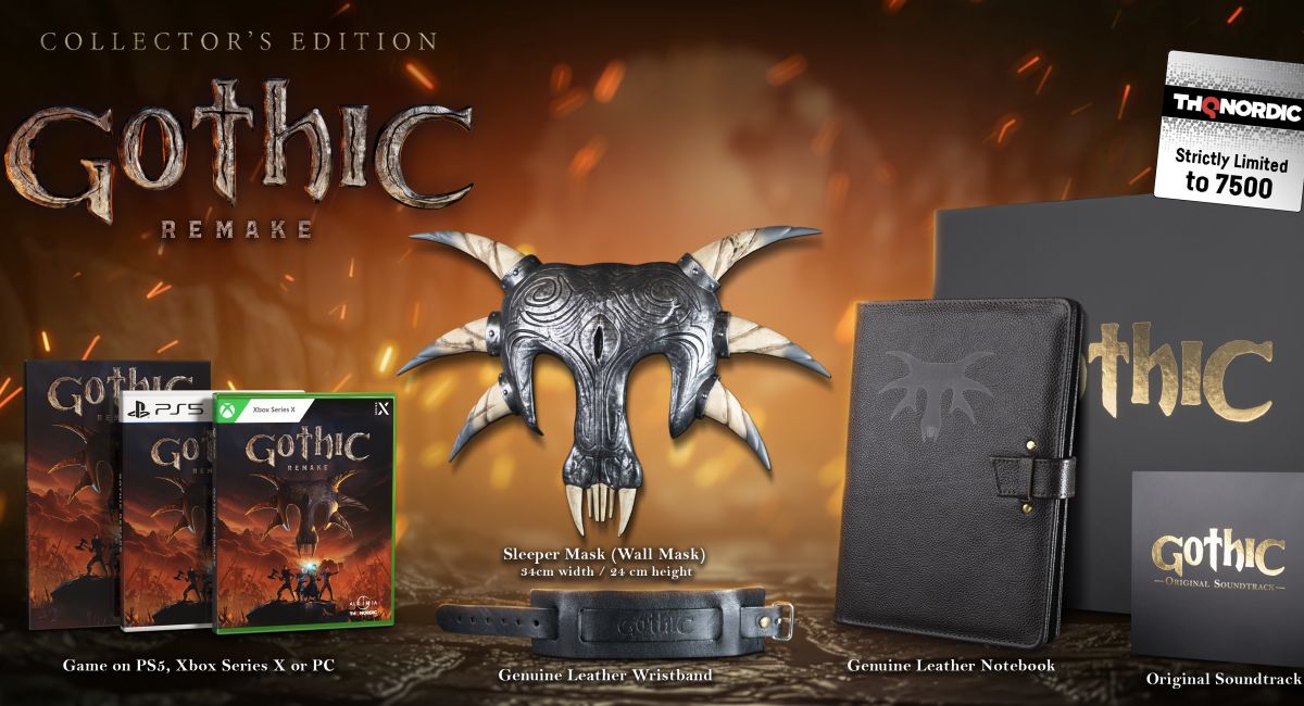 Игроки раскритиковали коллекционное издание Gothic Remake