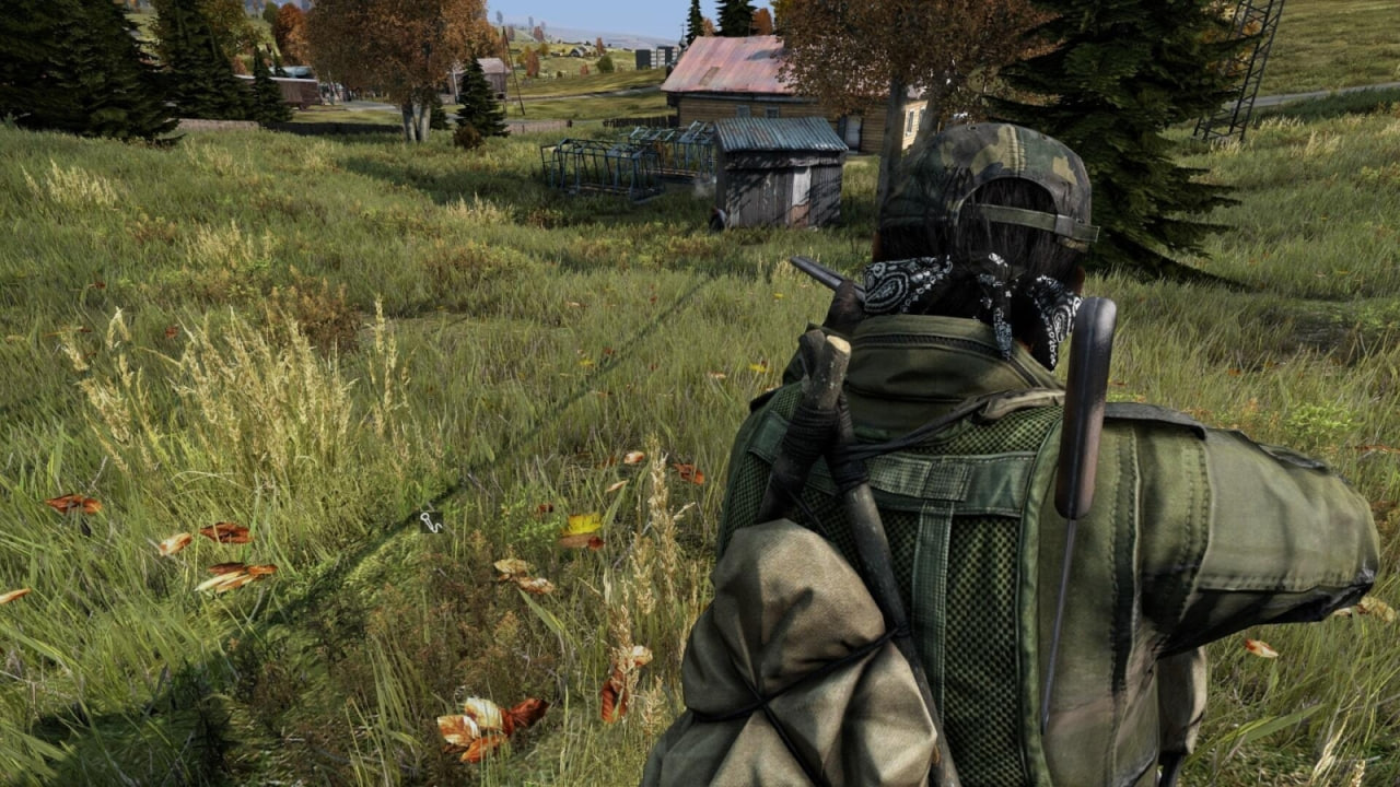 Обложка: скриншот DayZ