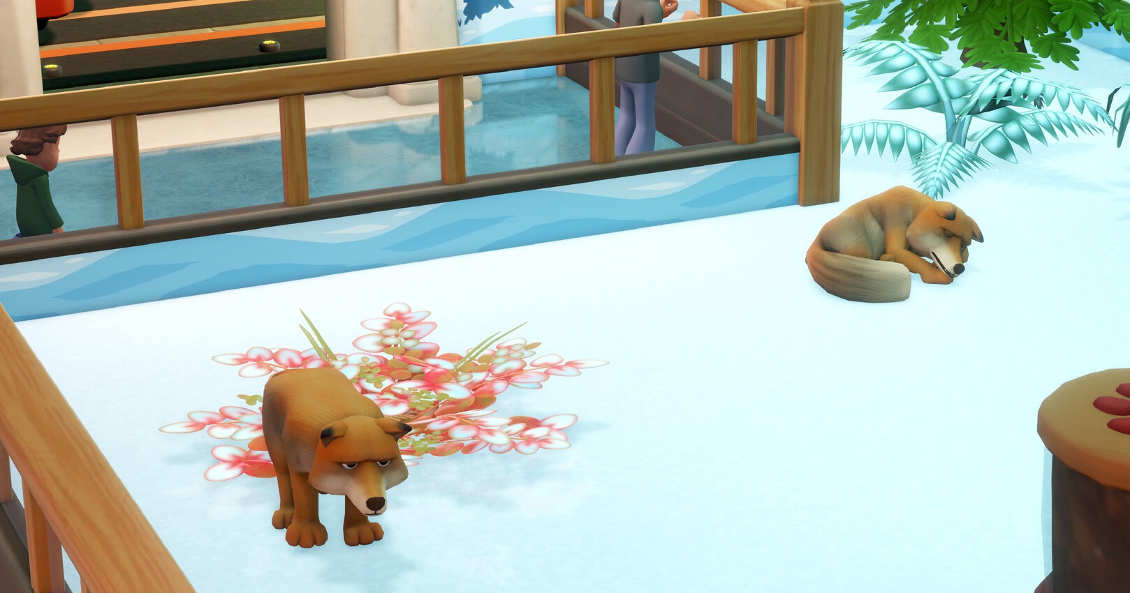 Авторы Two Point Museum показали геймплейный трейлер дополнения Zooseum о зоомузее