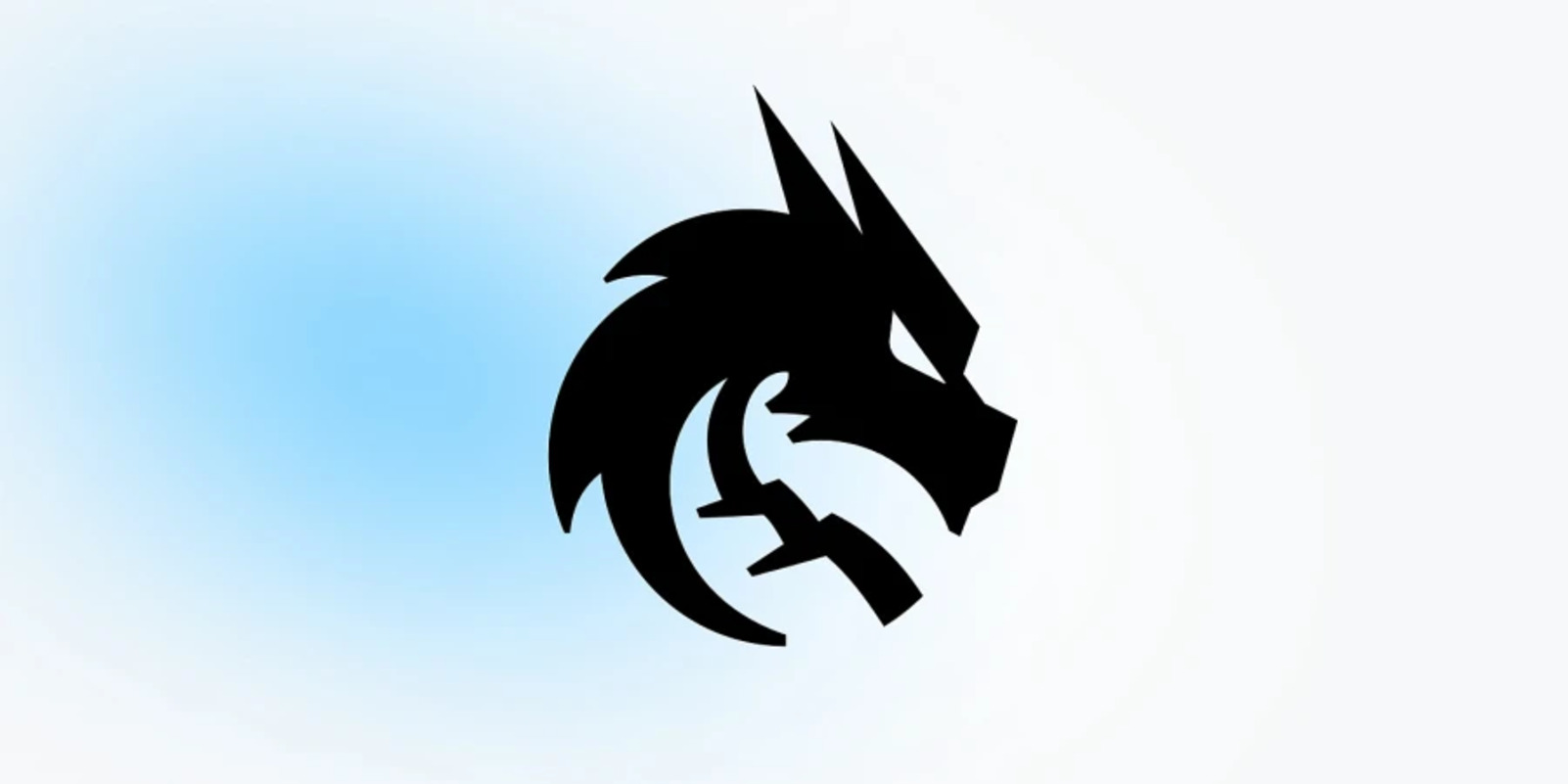 В Team Spirit по Counter-Strike 2 могут произойти громкие перестановки — инсайдер