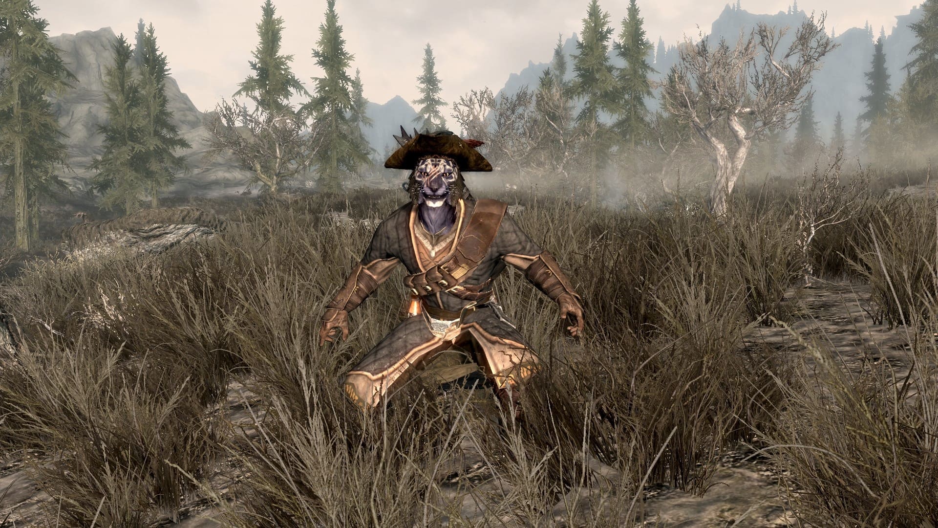 Обложка: скриншот The Elder Scrolls V: Skyrim