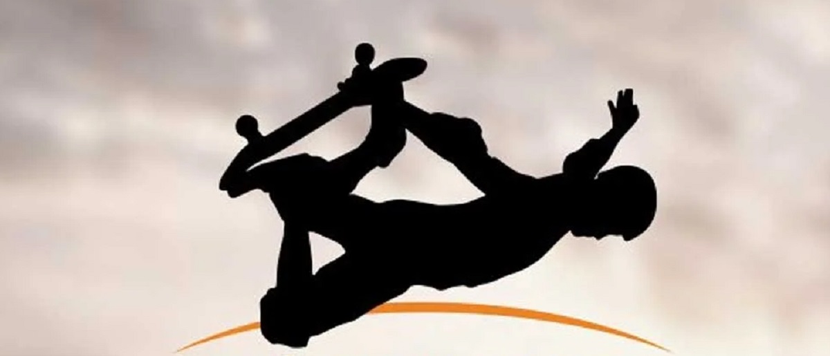 Обложка: Tony Hawkʼs Pro Skater