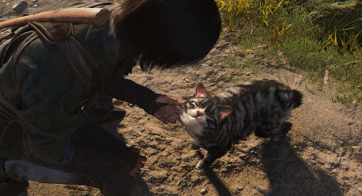 Скриншот Assassin's Creed Shadows
