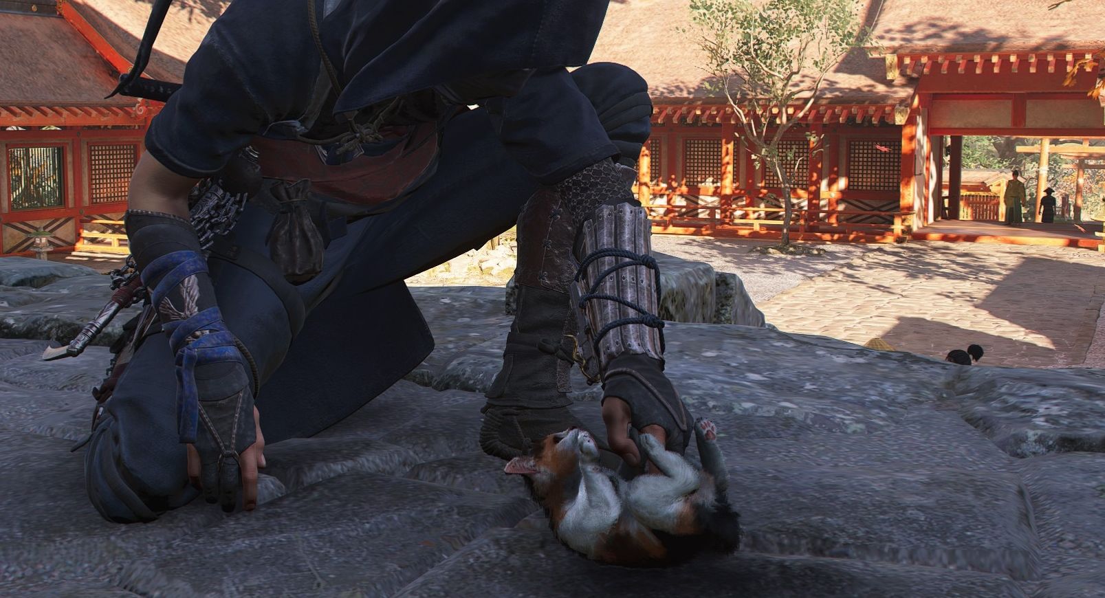Скриншот Assassin's Creed Shadows
