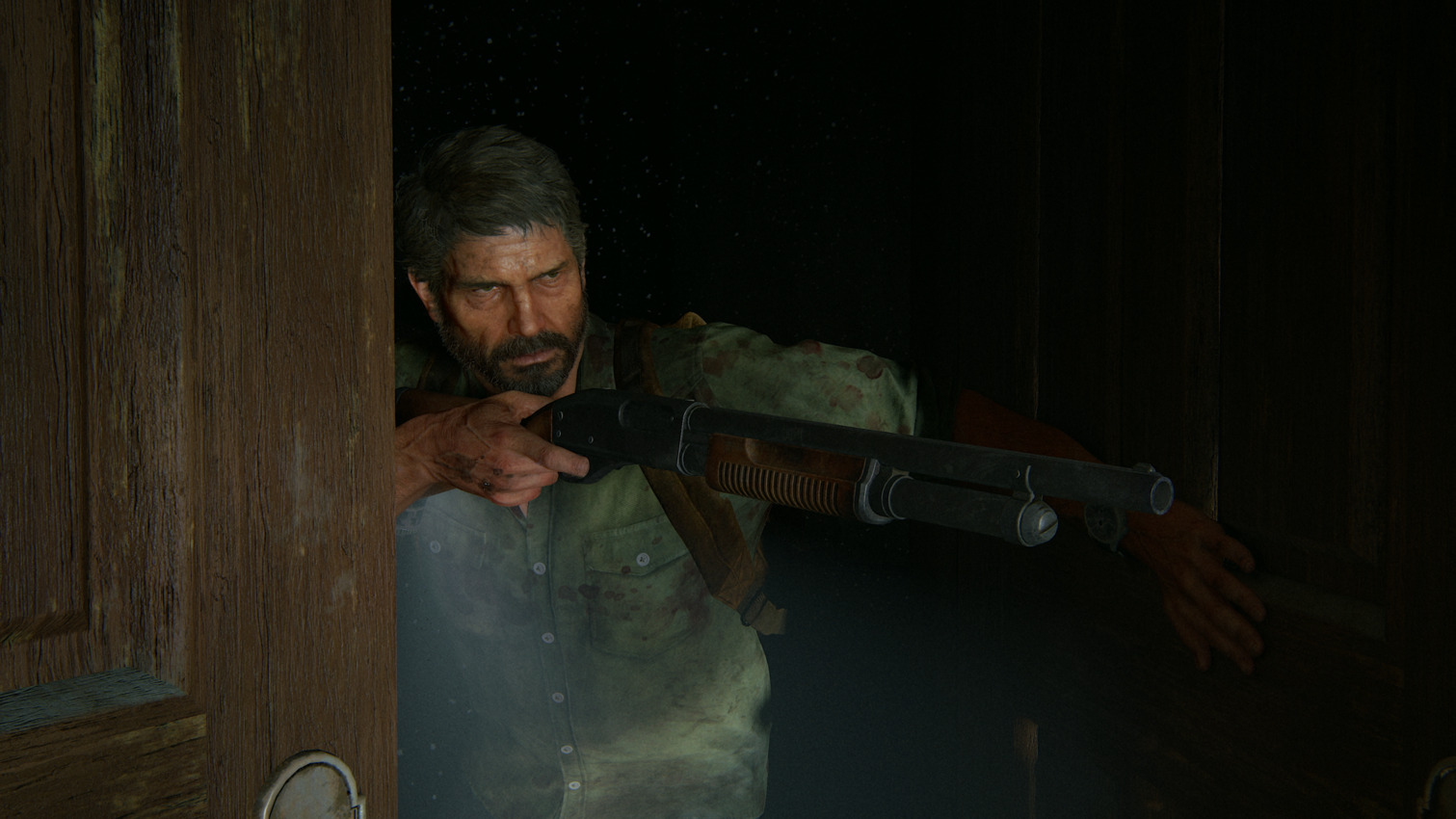 Обложка: скриншот The Last of Us: Part II Remastered