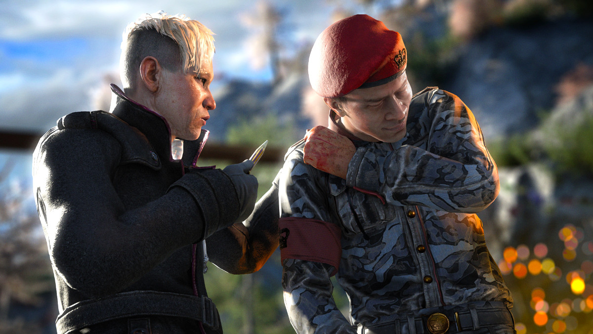 Обложка: скриншот Far Cry 4
