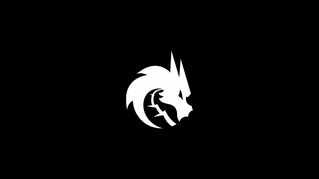 Возможные изменения в составе Team Spirit по Counter-Strike 2