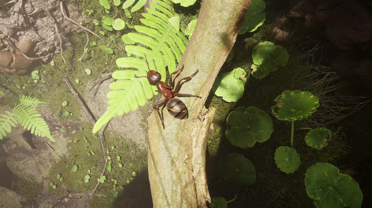 Обложка: скриншот Empire Of The Ants