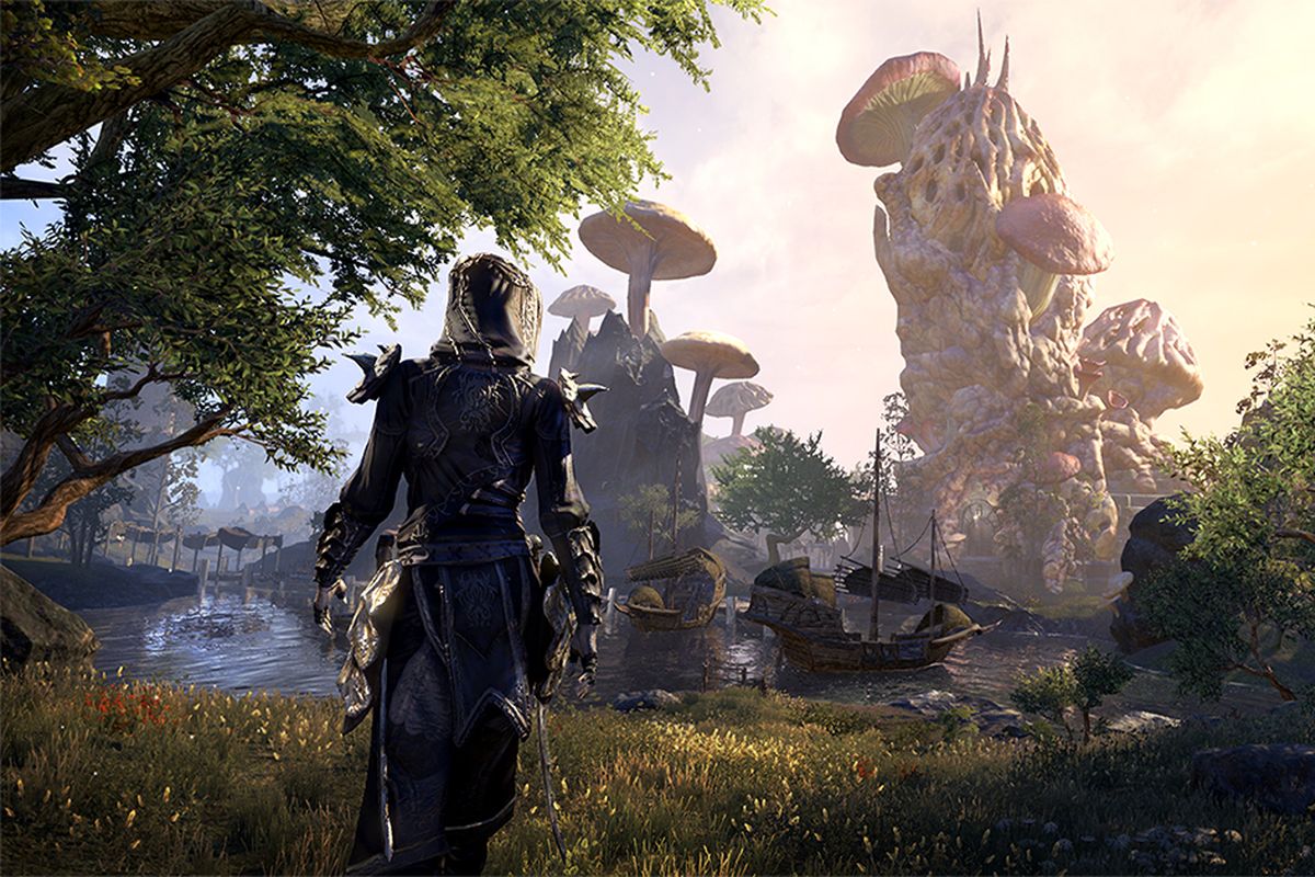 Будущее The Elder Scrolls Online: что ждёт игру после ухода Фирора и сокращений в ZeniMax