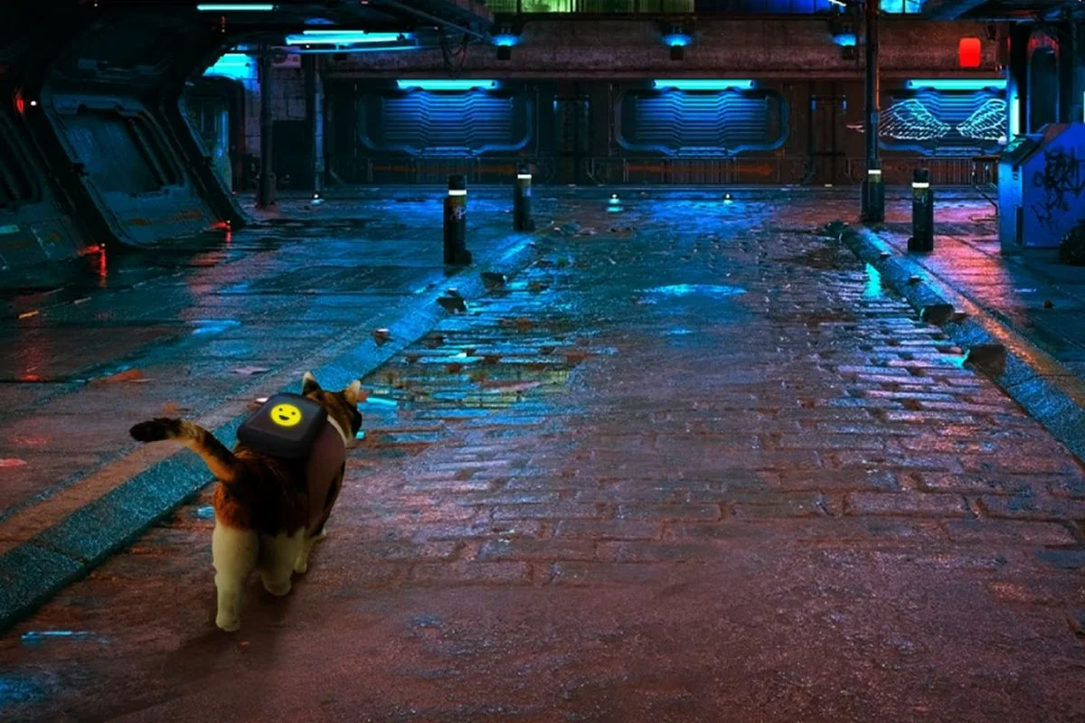 Издатель Stray впервые посетит Tokyo Game Show и скоро представит 3 новые игры