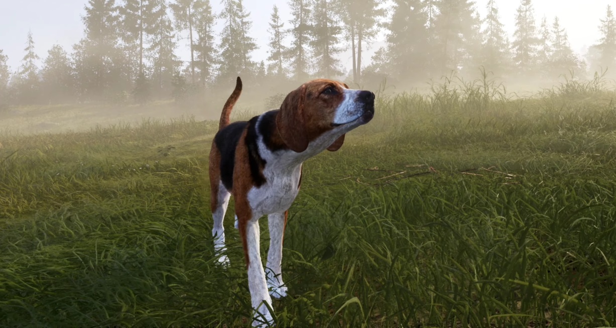 В анонсирующем трейлере Way of the Hunter 2 представили хвостатого компаньона охотника