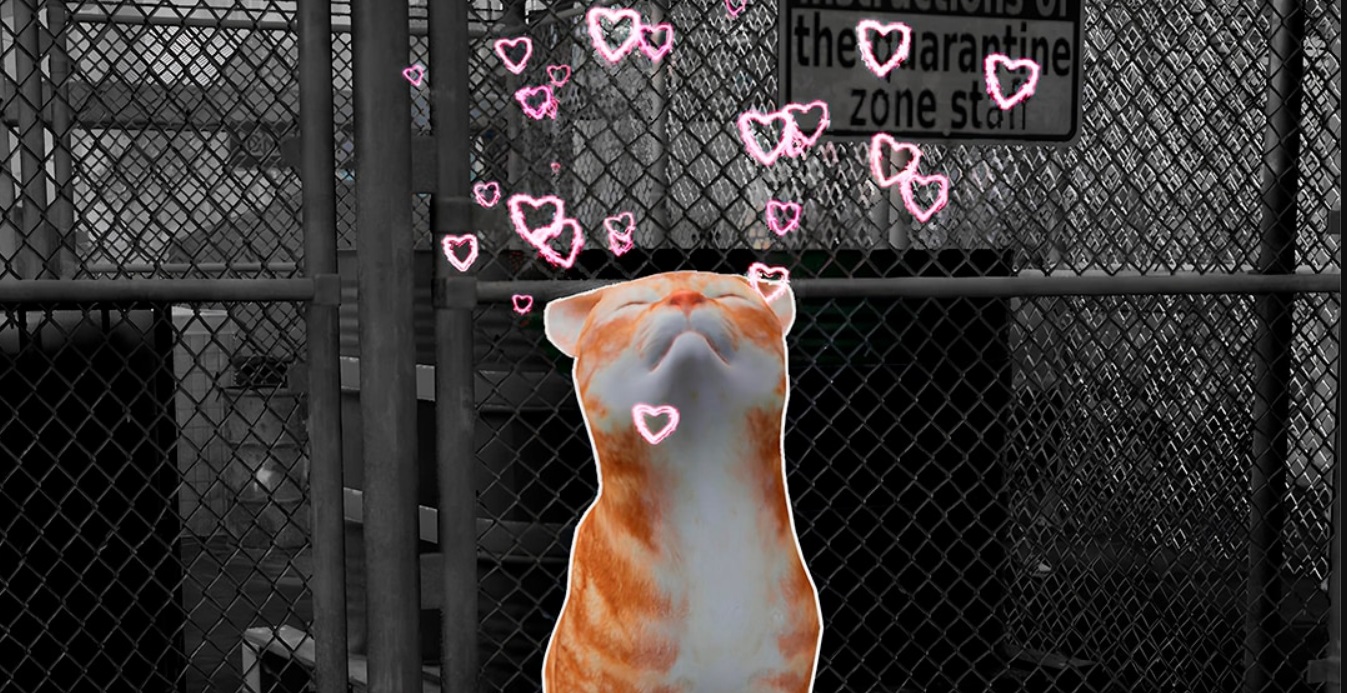 Менее чем за месяц продажи Quarantine Zone: The Last Check превысили 750 тысяч копий