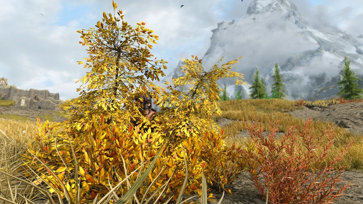 Для Skyrim вышел мод, который наконец позволяет реально прятаться в кустах